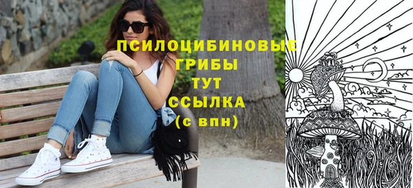 ПСИЛОЦИБИНОВЫЕ ГРИБЫ Касимов