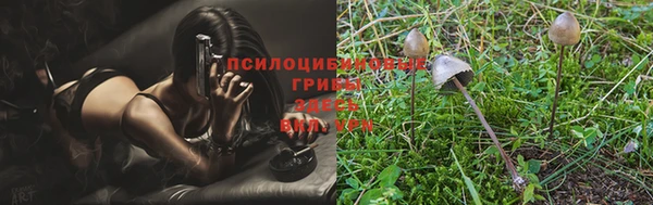 бутират Каменск-Шахтинский