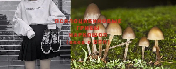 тгк Карталы