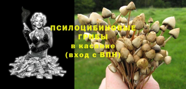 jwh Каменка