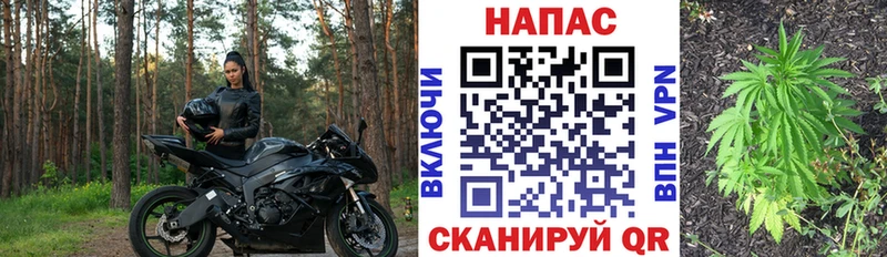 Конопля тримм  блэк спрут ONION  Комсомольск 